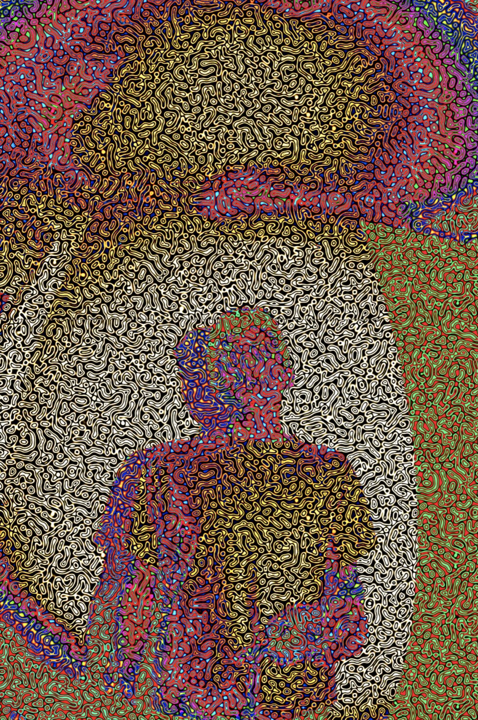 In the picture there are the outlines of a person and their shadow, or two people standing one behind the other. The image is completely composed of many small colorful and sinuous lines. The colors are mainly pink, red, yellow and light green.