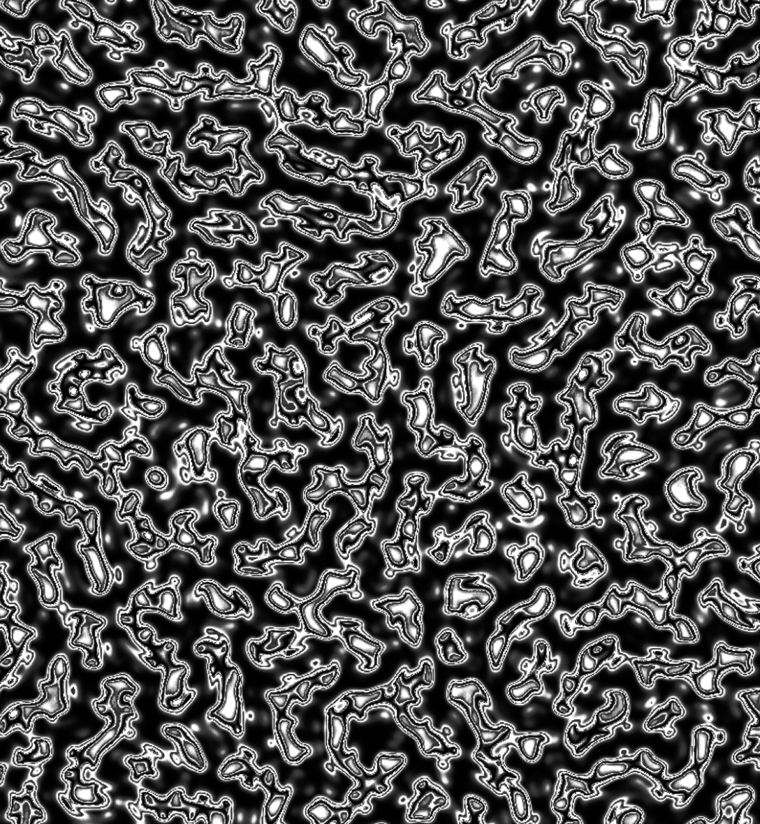 The image is in black and white and shows many small meandering lines. It is reminiscent of the view through a microscope.